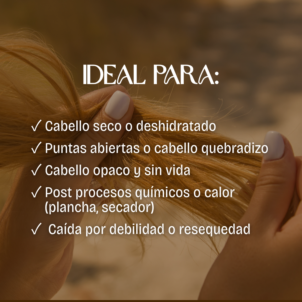 Shampoo n°2 | Cuero cabelludo seco