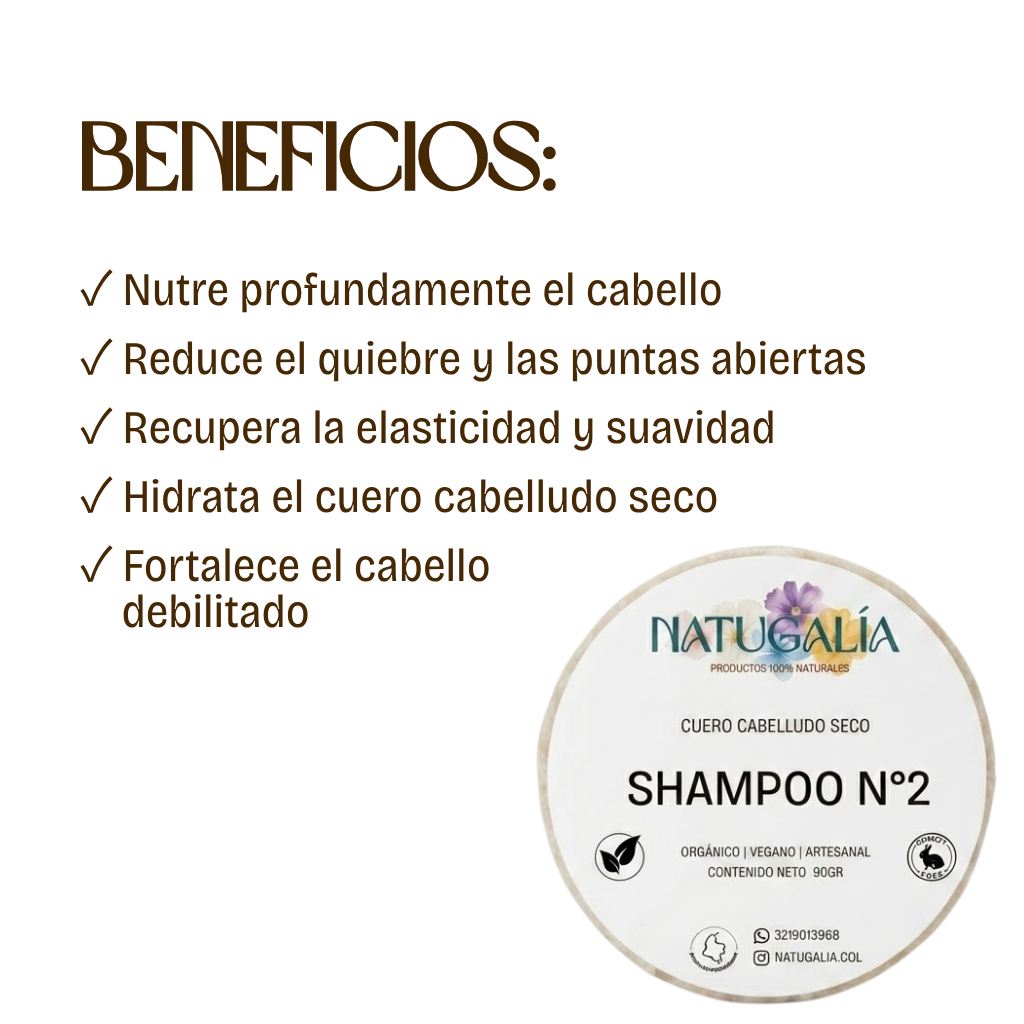 Shampoo n°2 | Cuero cabelludo seco
